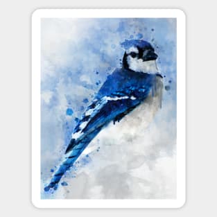 Dramabite Watercolor Blue Jay Bird Magnet